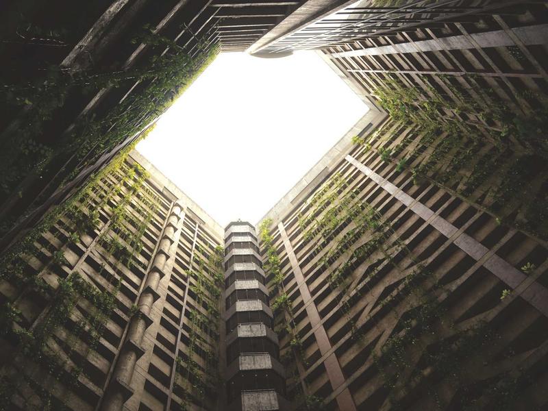 墨西哥亡灵节<br>ly7yyv.cn 万寿菊桥归途